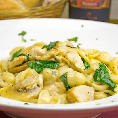 Chicken Tetrazzine - Spaghetti Eddie's